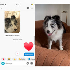 No.23· Flow Clay Series — Translucent Glaze Cup